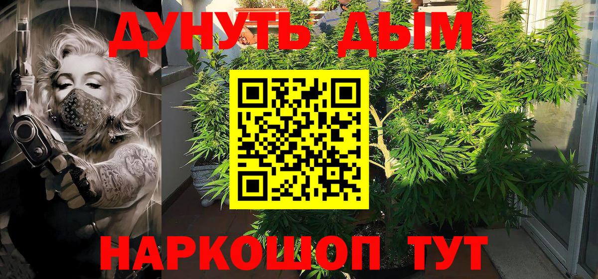 Лесосибирск  Канабис тримм  Шишки марихуана Ganja  Каннабис White Widow  Вход с VPN 